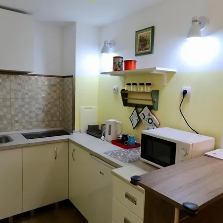 Central Ant Apartment Belgrad Exterior foto