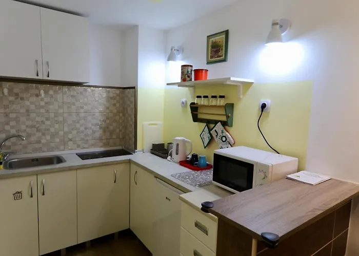 Central Ant Apartment