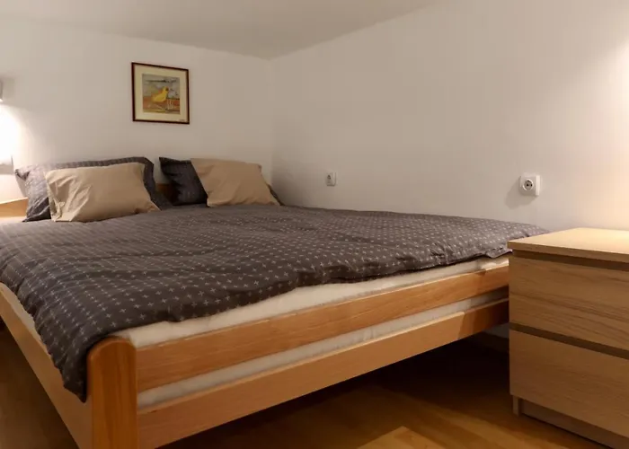 Central Ant Apartment