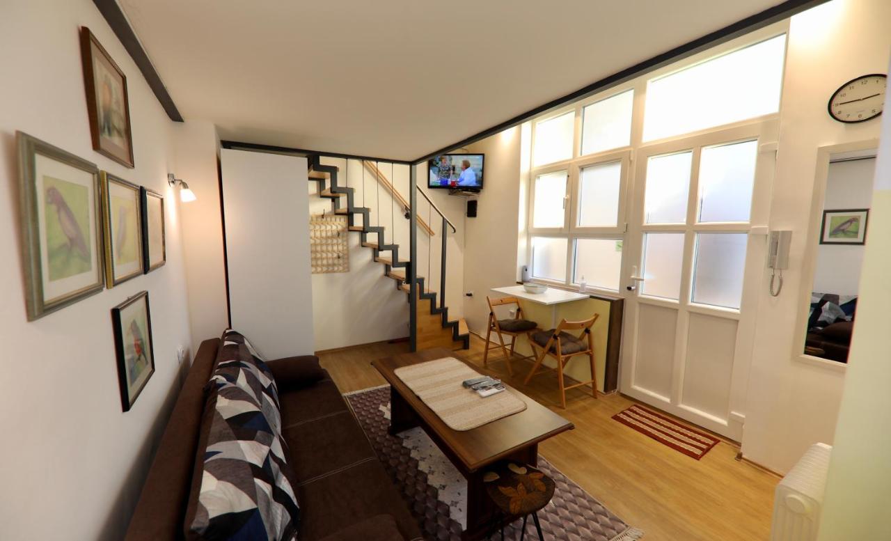 Ant Apartment Belgrad